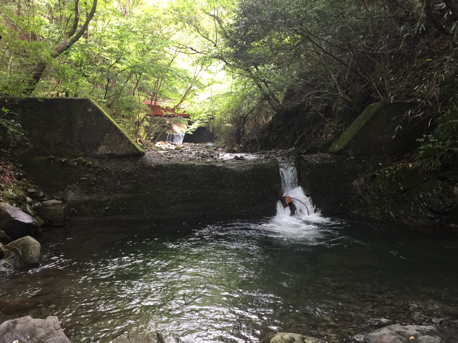 An old decomposing weir