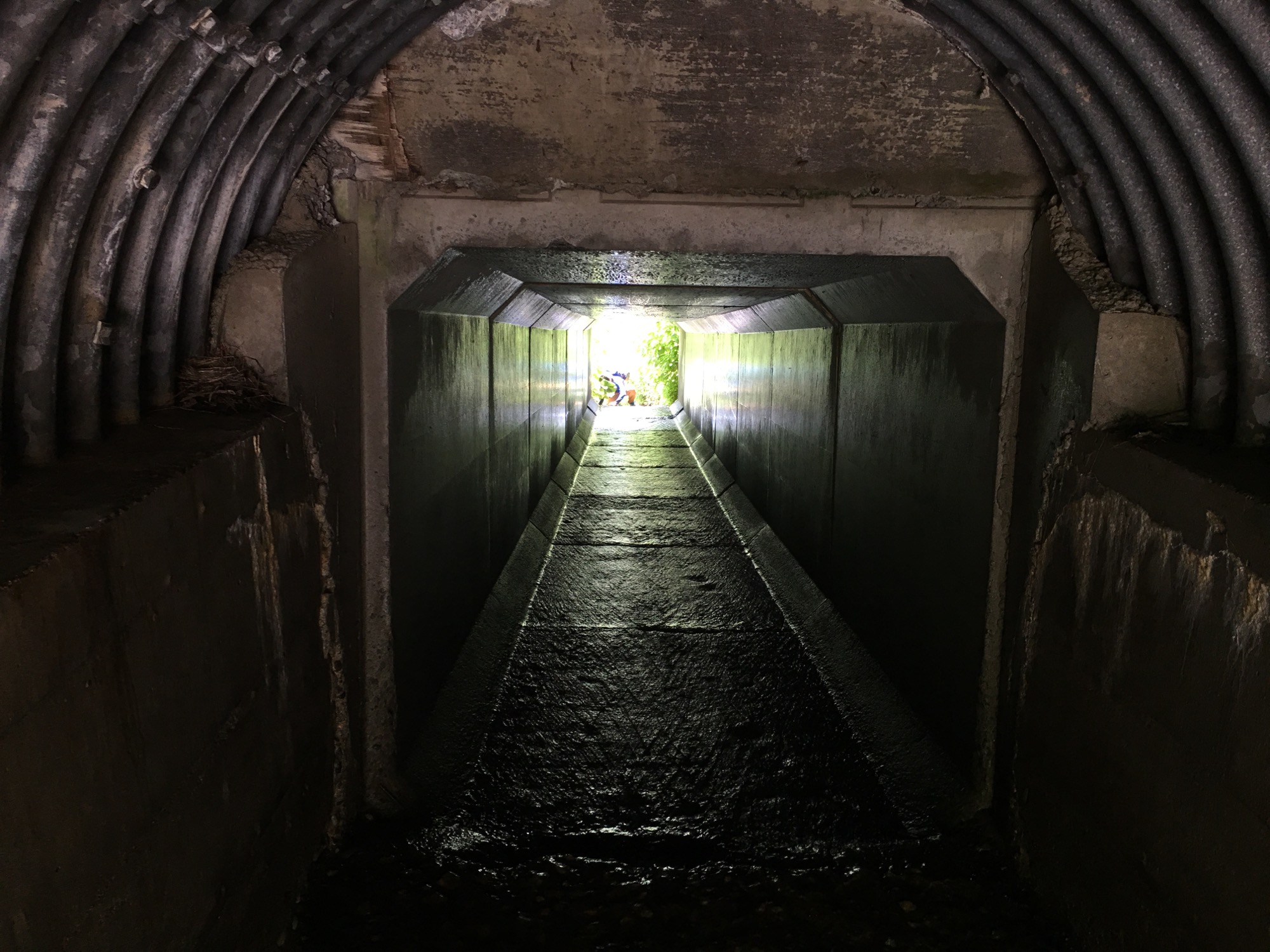 Approach via a tunnel